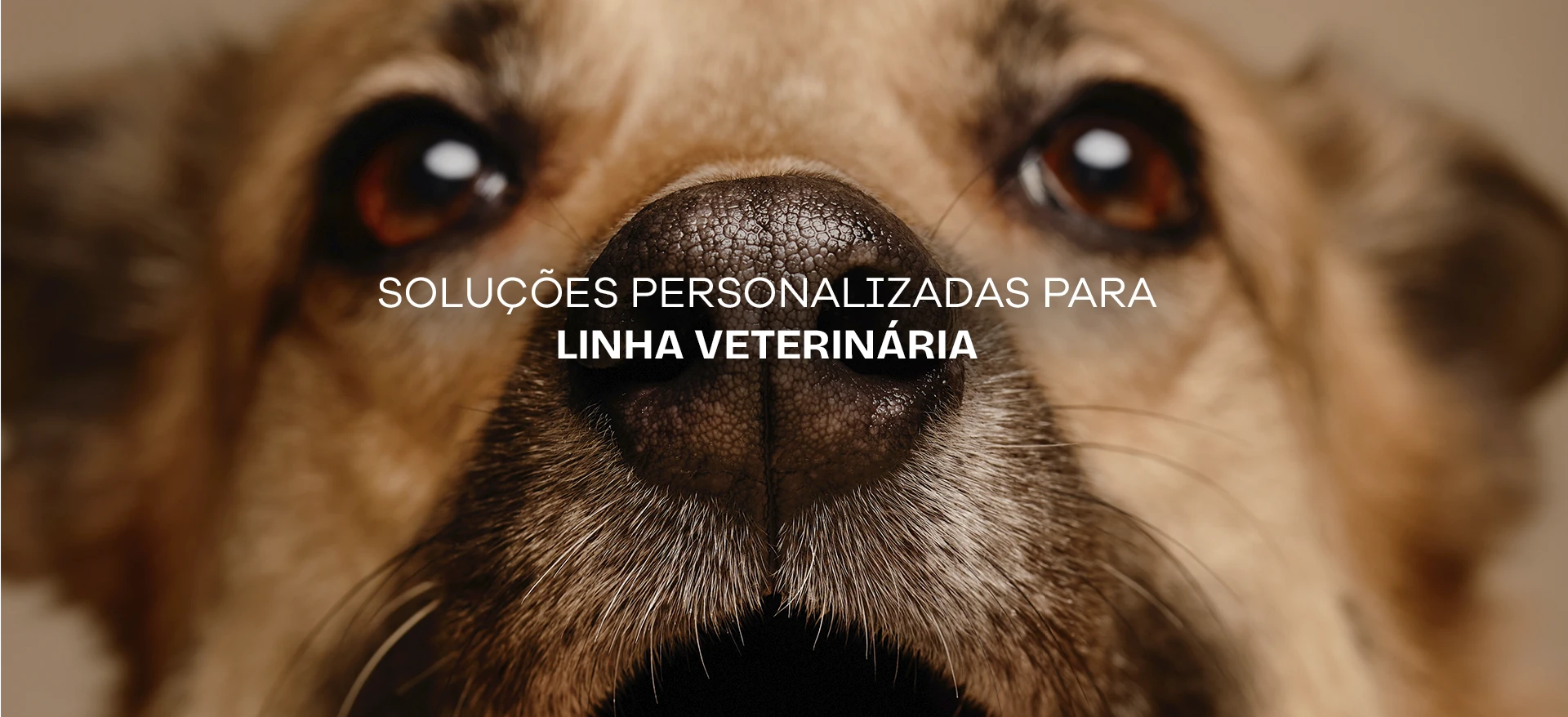 Soluções personalizadas para linha veterinária